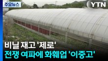 비닐 재고 '제로'...전쟁 여파에 화훼업 '이중고' / YTN