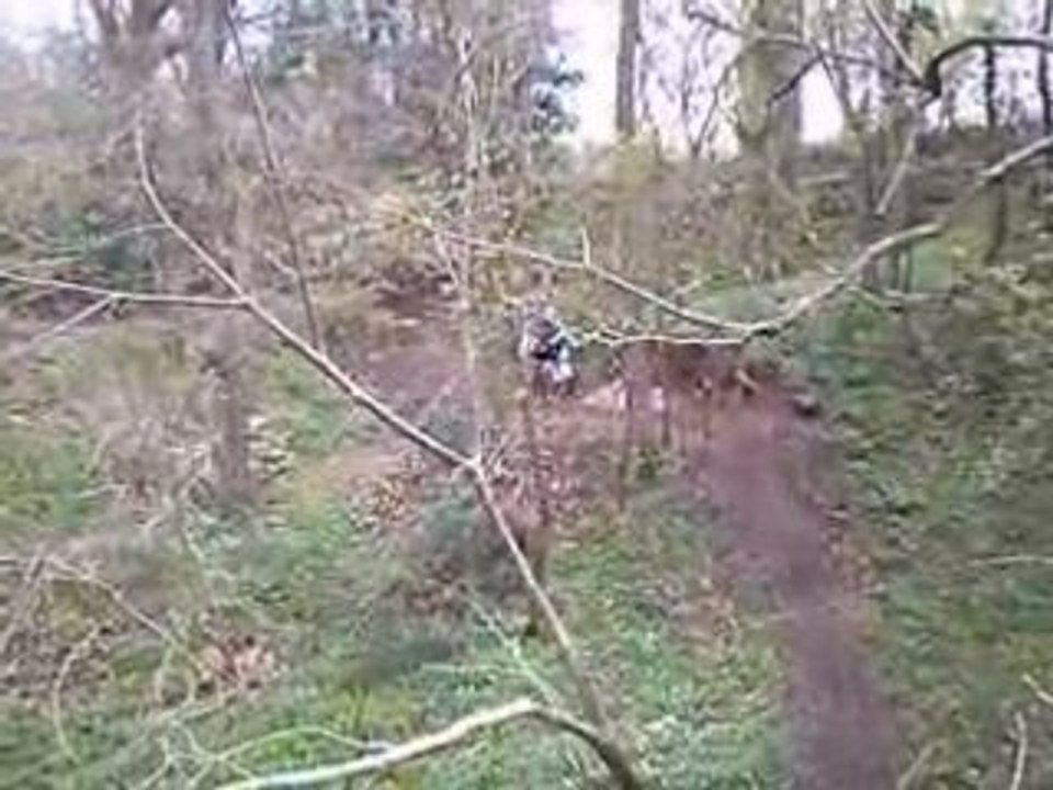 Mesnil Réaume 004 par GRATIEN