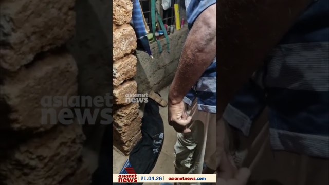 കോലഞ്ചേരിയിൽ വീടിനുള്ളിൽ മൂർഖൻ പാമ്പ്; ഇരവിഴുങ്ങിയതിന് ശേഷം അലമാരയുടെ അടിയിലാണ് പാമ്പിനെ കണ്ടത്