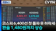 코스피 6,400선 첫 돌파 후 하락세...환율 1,480원까지 상승 / YTN