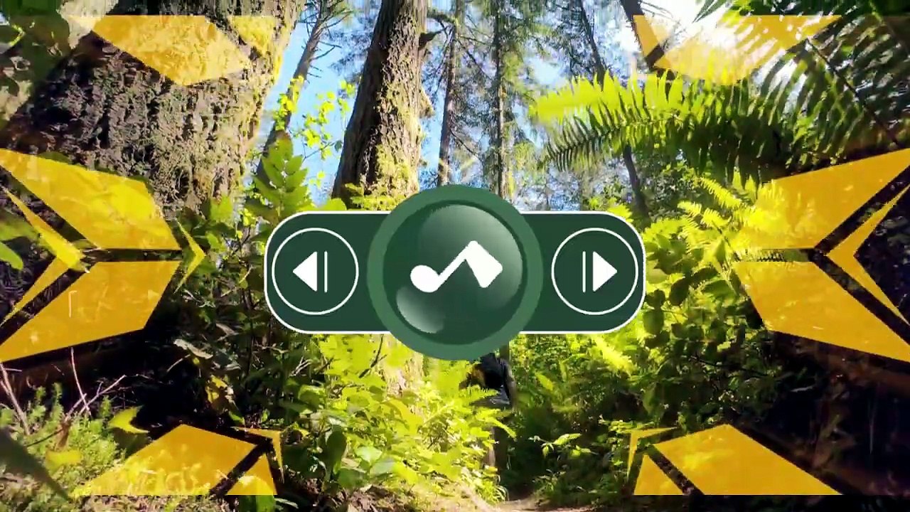 Best romantic acoustic song 2026, travel romantic song  with sound of nature