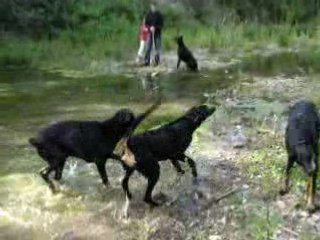 caly sam alter et titi