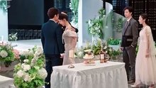 抖音新剧上线#一纸婚约，教授的独家偏爱 (下)