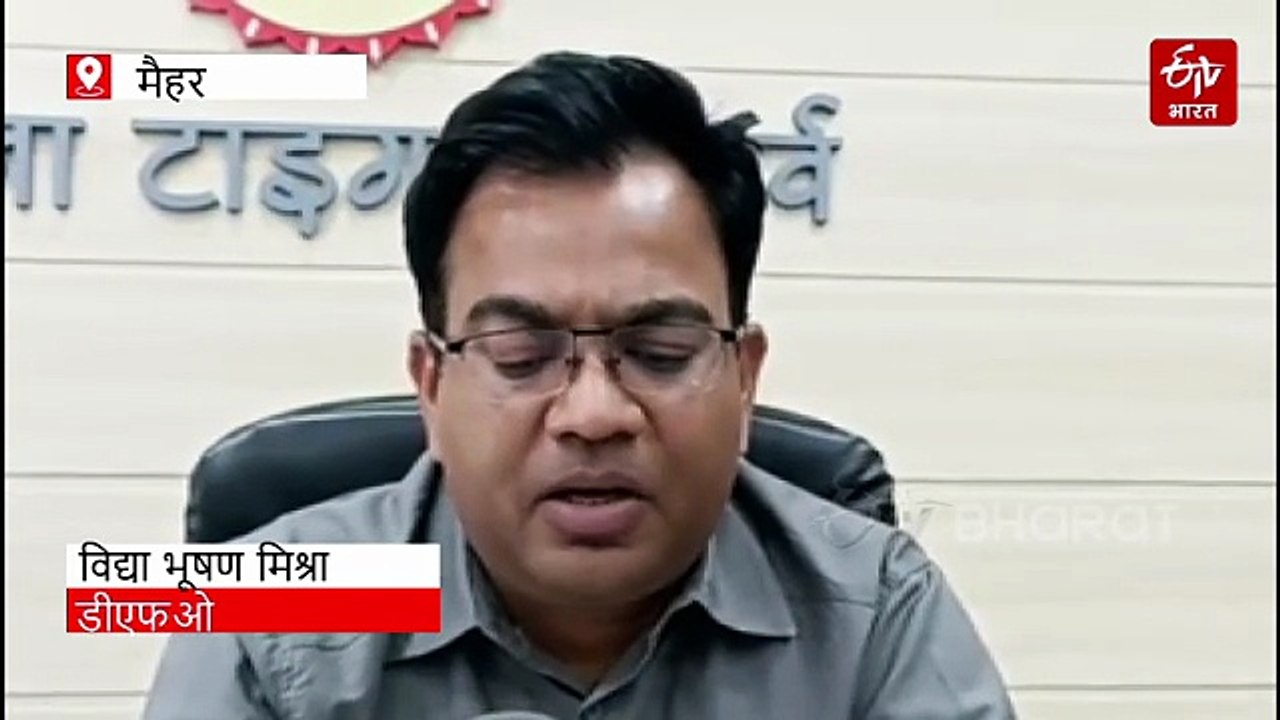 बांधवगढ़ टाइगर रिजर्व में बाघ शावक की मौत आपसी संघर्ष में या शिकार का मामला? जांच तेज