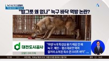 “밥그릇 왜 없나” 늑구 바닥 먹방 논란?