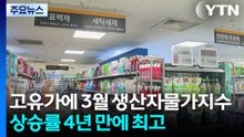 고유가에 3월 생산자물가지수 상승률 4년 만에 최고 / YTN
