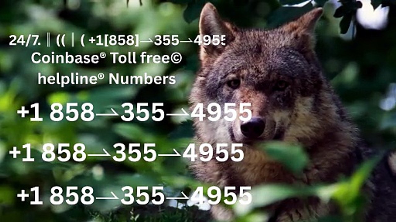 121//\\~【Verified】⋉अ[FULLGUIDE] Coinbase® WALLET© SuppORT℗ Phone Number