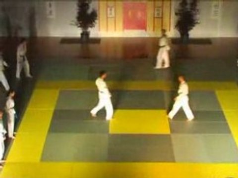 Nuit des Arts Martiaux, tkd Les Clayes 2008