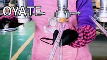 760mm 1500w Short wave IR lamps OYATE quartz halogen heater lamps