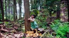 まんぷく 　第17話 Part1 火曜ドラマ  ドラマ動画 9tsu