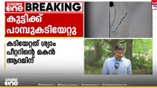 തൃശൂരിൽ രണ്ടര വയസ്സുകാരന് ശുചിമുറിയിൽ വെച്ച് പാമ്പുകടിയേറ്റു