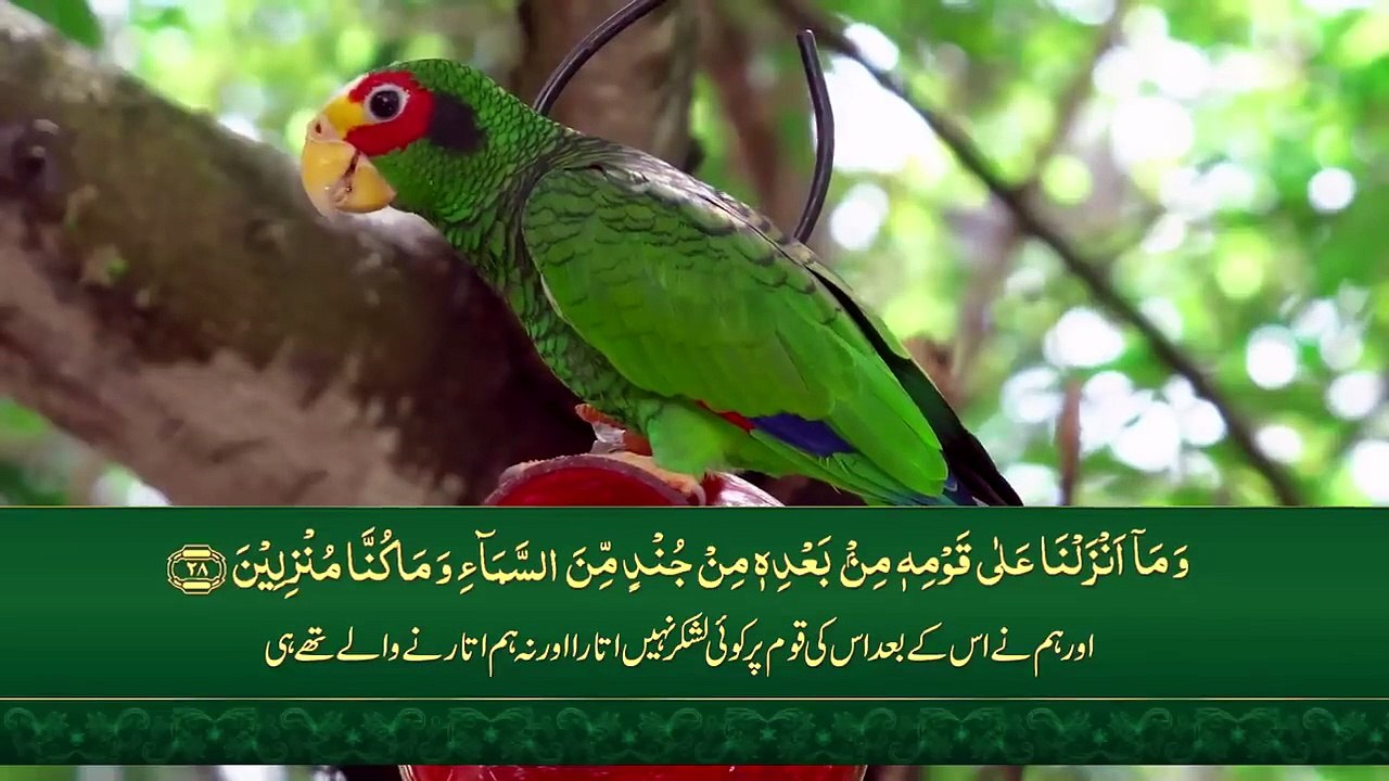 Surah Yasin Surat Yaseen with Urdu Translation  Quran Tilawat Beautiful Voice Hindi