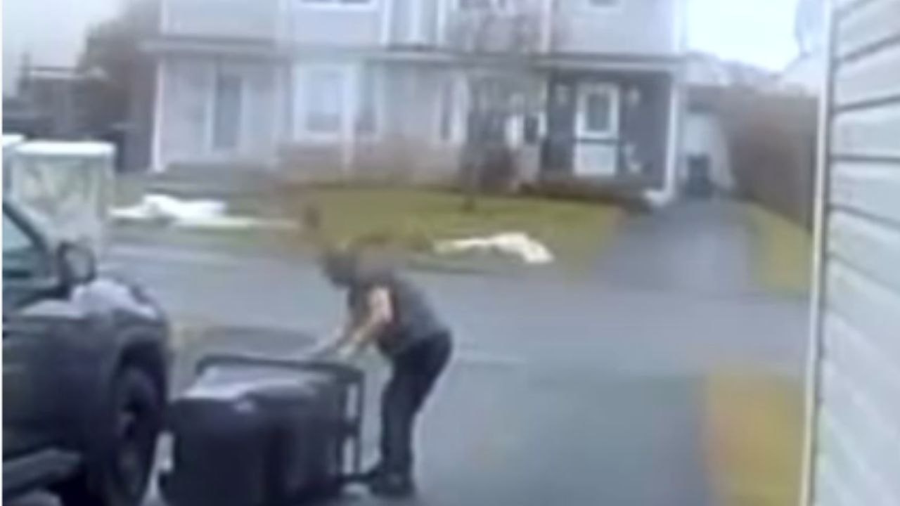 Wind Gust Sends Garbage Can Lid Flying Into Woman’s Face