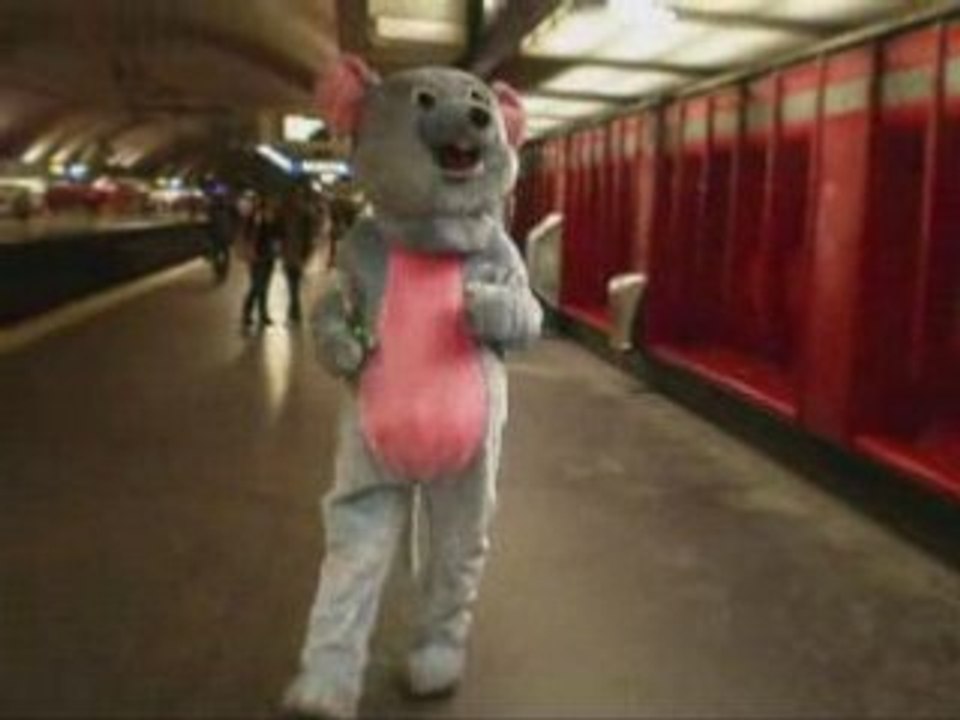 Les aventures de bibi la souris!!!