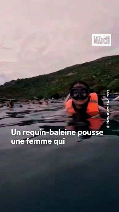 Un requin-baleine s’invite sur une séance photo