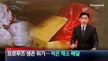 [단독]호르무즈 생존 위기…썩은 채소 배달