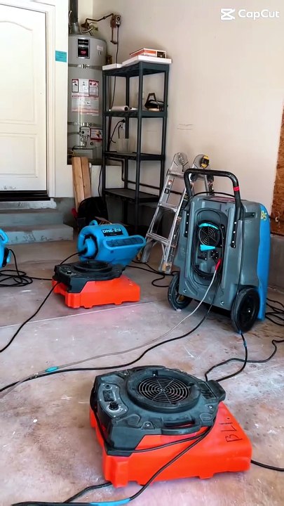 Certified Mold Remediation & Air Quality Specialists