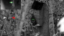 Feeder1_2026-04-22