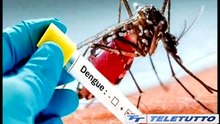 Video News - Arbovirosi, tre casi in otto giorni