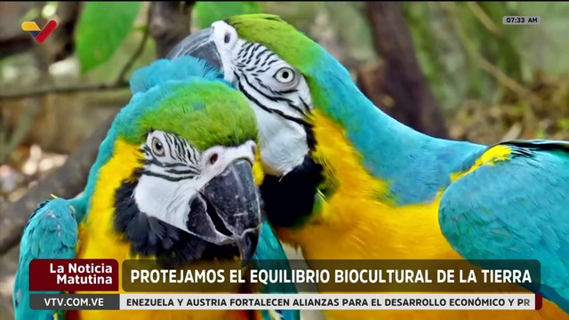 Día de la Madre Tierra | Un llamado a redefinir el vínculo ambiental ante la crisis climática