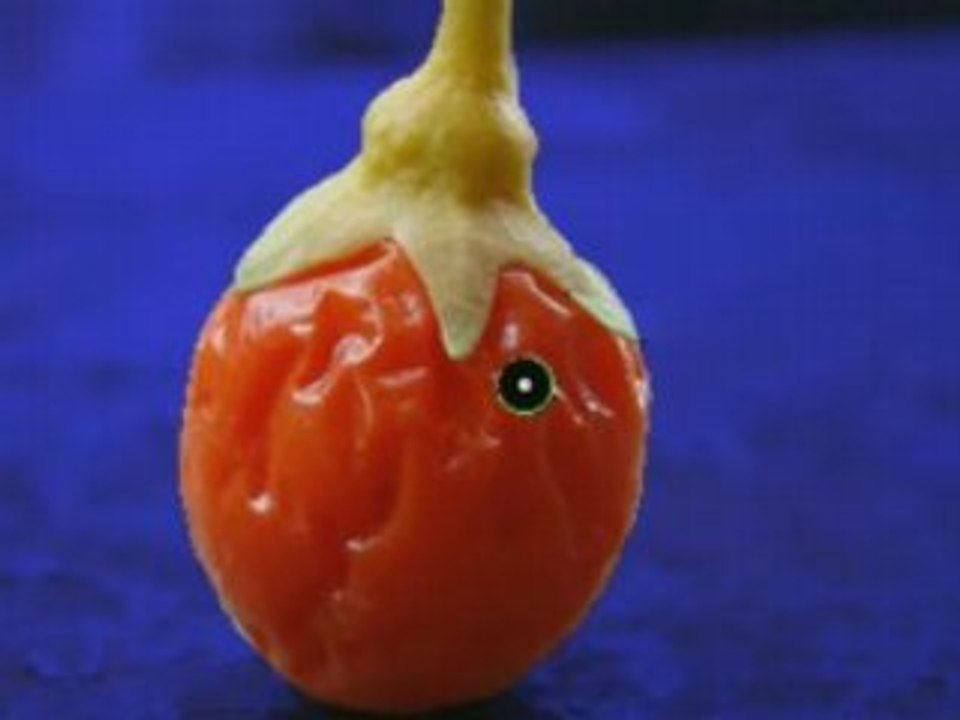 The Gimp 2.4 : Extraction de premier plan