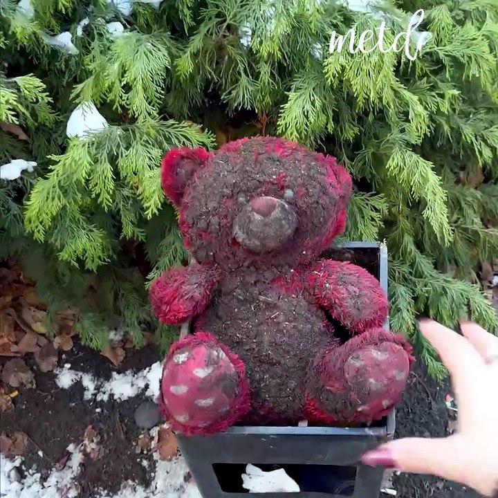 The cleaning transformation of a dirty teddy bear found in the trash! 🧸🧼