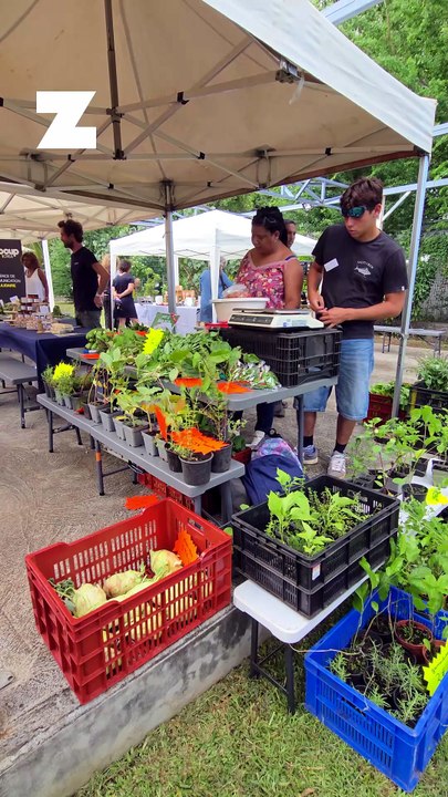 La première monnaie locale réunionnaise enfin en circulation