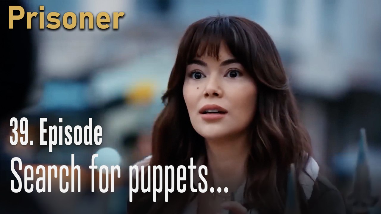 Search for puppets...-Episode 39