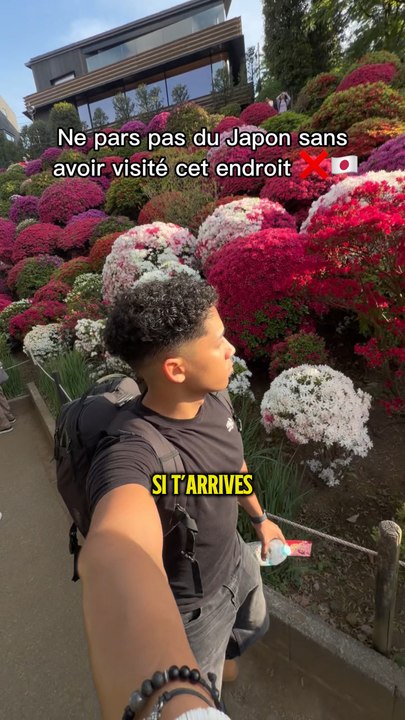 T’as raté les cerisiers au Japon ? 🌸Bonne nouvelle : le printemps est loin d’être fini 🇯🇵✨Direction Nezu-jinja à Tokyo pour découvrir un spot incroyable avec des azalées de toutes les couleurs 🌺Abonne-toi pour plus de spots et bons plans au Japon 🇯🇵