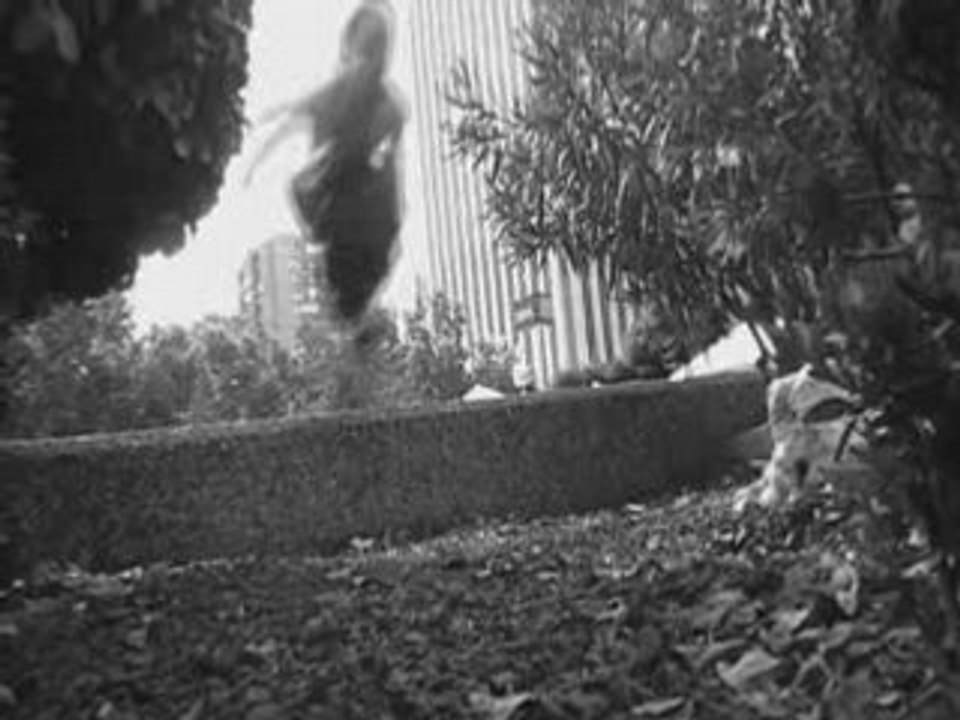 Trailer spid and max - parkour madrid