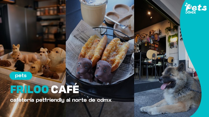 FRILOO CAFÉ CDMX: spot petfriendly con menú para perros