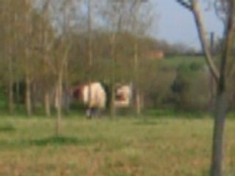 PICT0001