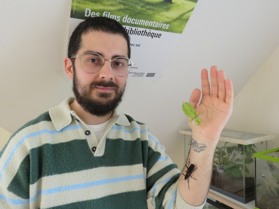 Seine-et-Marne : Alexandre et ses phasmes sensibilisent les enfants à la nature et à la biodiversité