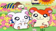 Hamtaro (2000)