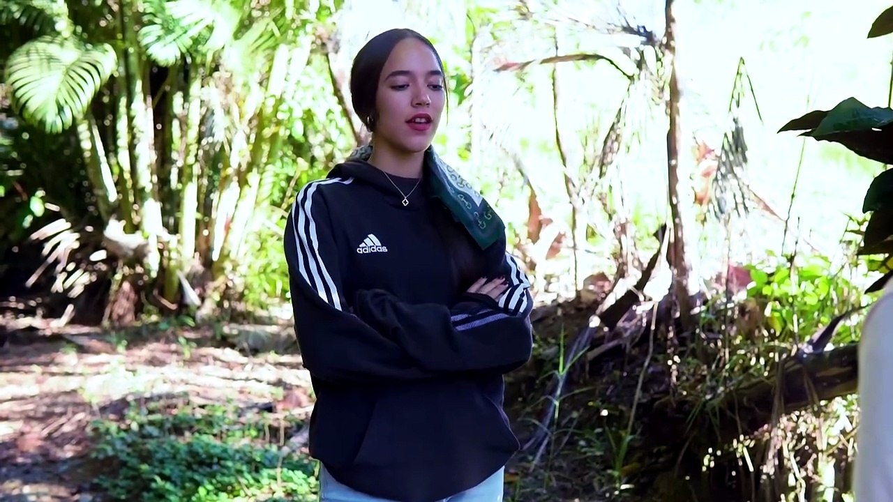 Comian En El Aposento Por Si Algun Vecino Llegaba y Esto Paso