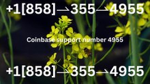 【Anytime Help】⋉अ ⁂[ ⁂Complete List of Official Coinbase Customer Service Number, HELP-DESK Helpline 24/7