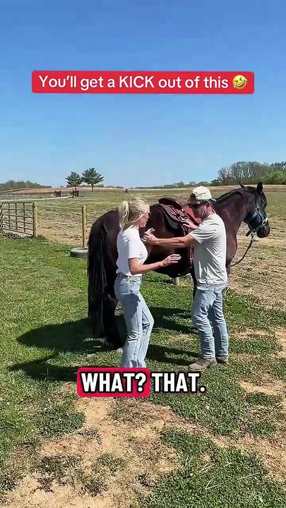 Check out Cameo Fencing- The Safe Horse Fencing System  ❤ #horse #electricfence #kick #fyp #funny
