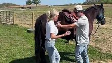 Check out Cameo Fencing- The Safe Horse Fencing System  ❤ #horse #electricfence #kick #fyp #funny