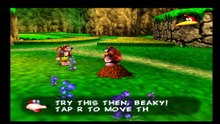 TESTANDO Banjo Kazzoie HD Widescreen 16x9 Nintendo 64