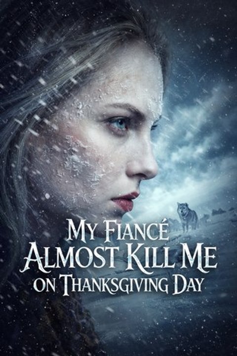 My Fiancé Almost Killed Me On Thanksgiving Day Drama Mystery Thriller