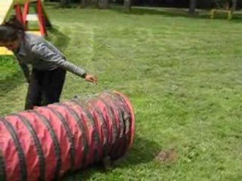 Début de l'apprentissage à l'agility 2