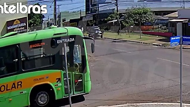 Cão é atropelado, tem fratura exposta e motorista foge sem prestar ajuda