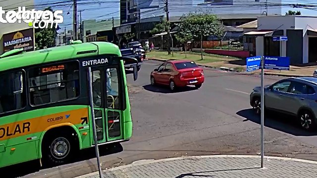 Cão é atropelado, tem fratura exposta e motorista foge sem prestar ajuda