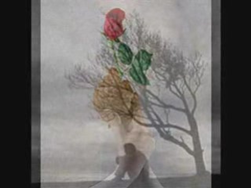 JE TAIME MA CHERIE TU ME MANKE