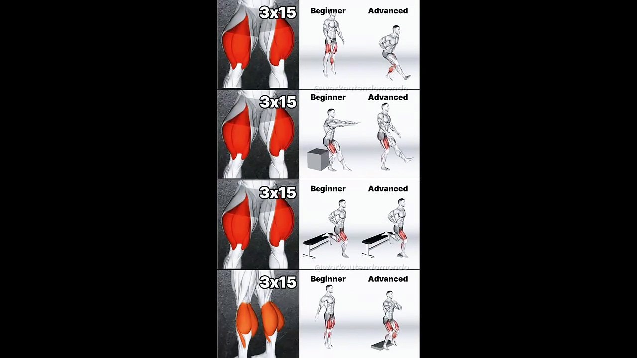 Leg Workouts for All Levels: A Comprehensive Training Plan from Beginner to Advanced!