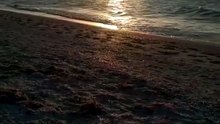 infinite calm - AleRU