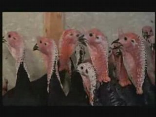 Une Journée bien remplie 1973