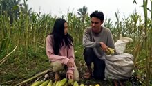 BEGU JUMA (2025) _ FULL MOVIE FILM BIOSKOP HOROR INDONESIA TERBARU