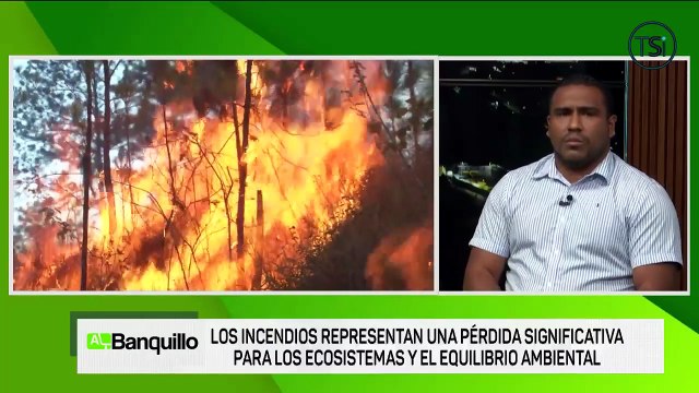Al Banquillo - Los incendios representan una pérdida significativa para los ecosistemas y el equilibrio ambiental - miércoles 22 de abril 2026