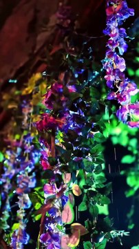 Village 0 Crops, 0 Hope, A Baby's Crib Hides A Magic FarmUsed It To Make Village Bloom.